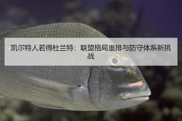 kai-er-te-ren-ruo-de-du-lan-te-lian-meng-ge-ju-zhong-pai-yu-fang-shou-ti-xi-xin-tiao-zhan-2-315.jpg